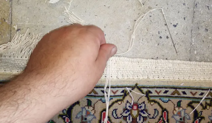 ریشه زنی فرش