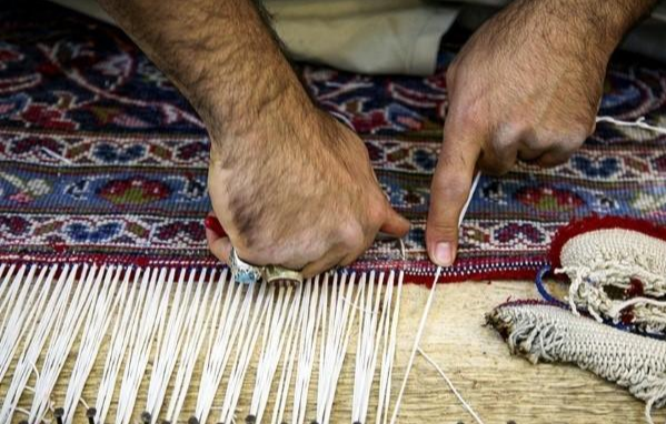 ریشه زنی فرش 